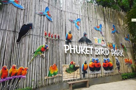 Таиланд. Пхукет. Птичий парк (Phuket Bird Park)